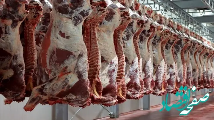 قیمت روز گوشت قرمز امروز ۲۷ خرداد ۱۴۰۴ پس از حمله ایران با ۲۰ موشک به اسرائیل