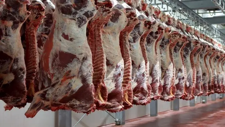 قیمت روز گوشت قرمز امروز ۲۷ خرداد ۱۴۰۴ پس از حمله ایران با ۲۰ موشک به اسرائیل