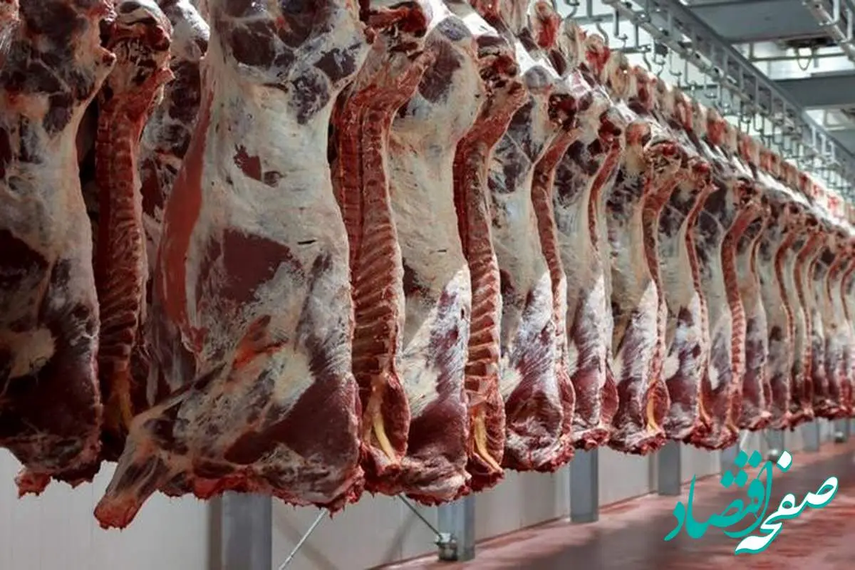 قیمت روز گوشت قرمز امروز ۲۷ خرداد ۱۴۰۴ پس از حمله ایران با ۲۰ موشک به اسرائیل