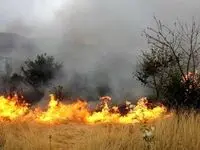 آتش سوزی در زمین کشاورزی جان کشاورز ۷۰ ساله را گرفت 