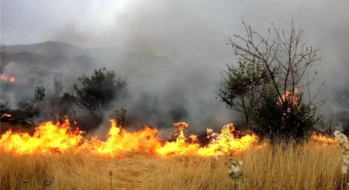 آتش سوزی در زمین کشاورزی جان کشاورز ۷۰ ساله را گرفت