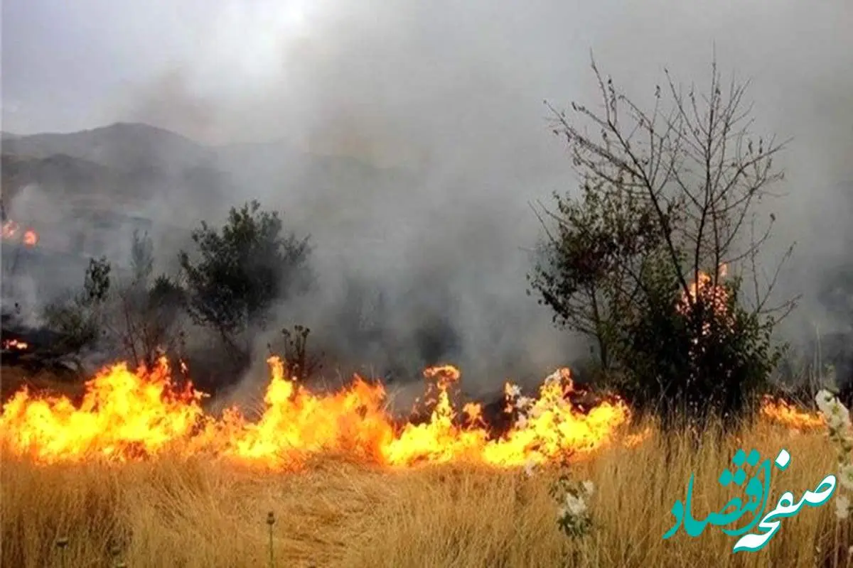 آتش سوزی در زمین کشاورزی جان کشاورز ۷۰ ساله را گرفت 