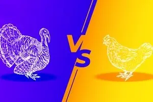 گوشت مرغ همچنان گران؛ جدول قیمت مرغ و بوقلمون امروز یکشنبه ۲۶ بهمن ۱۴۰۴