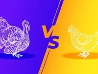 گوشت مرغ همچنان گران؛ جدول قیمت مرغ و بوقلمون امروز یکشنبه ۲۶ بهمن ۱۴۰۴