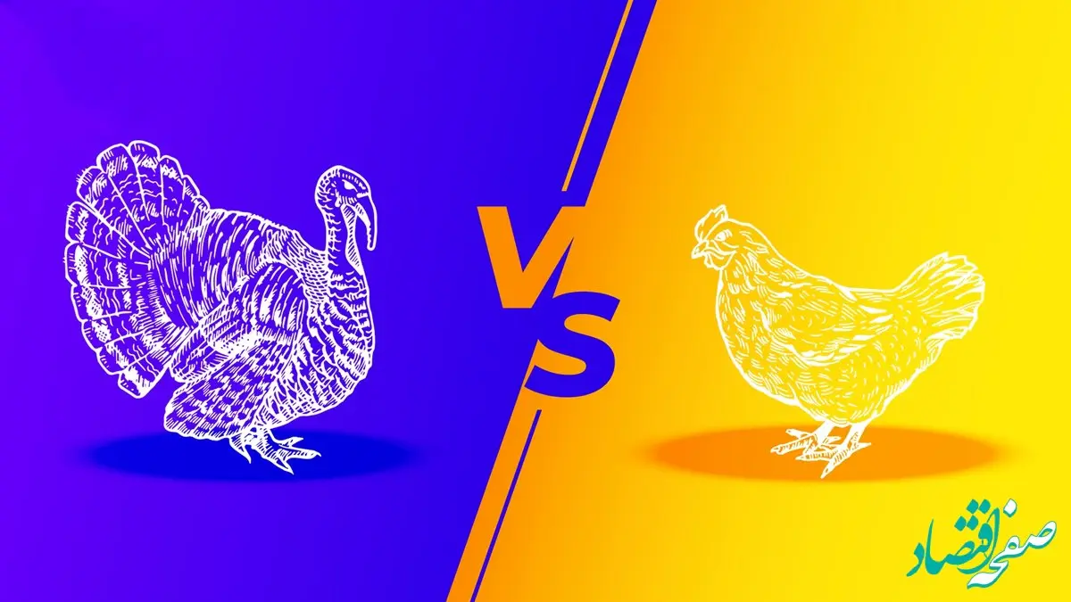 گوشت مرغ همچنان گران؛ جدول قیمت مرغ و بوقلمون امروز یکشنبه ۲۶ بهمن ۱۴۰۴