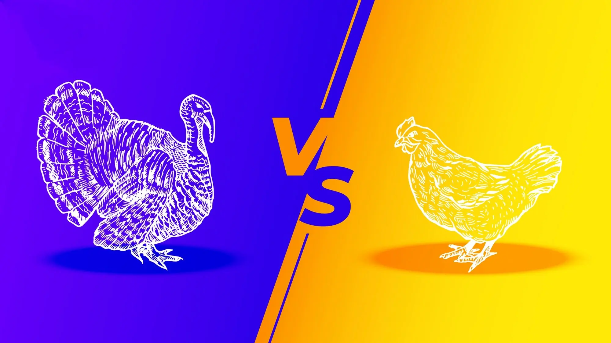 گوشت مرغ همچنان گران؛ جدول قیمت مرغ و بوقلمون امروز یکشنبه ۲۶ بهمن ۱۴۰۴