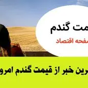 اعلام قیمت جدید گندم و تأخیر در پرداخت مطالبات گندمکاران | قیمت تضمینی و زمان مناسب برداشت گندم | هشدار فوری به گندمکاران