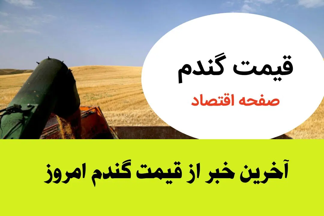 حداقل قیمت خرید تضمینی گندم برای سال زراعی جدید ۳۰ هزارتومان شد؟ 