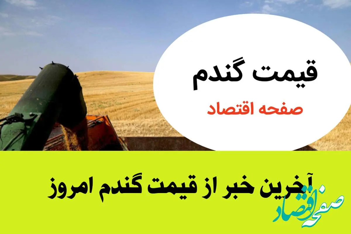 اعلام قیمت جدید گندم و تأخیر در پرداخت مطالبات گندمکاران | قیمت تضمینی و زمان مناسب برداشت گندم | هشدار فوری به گندمکاران