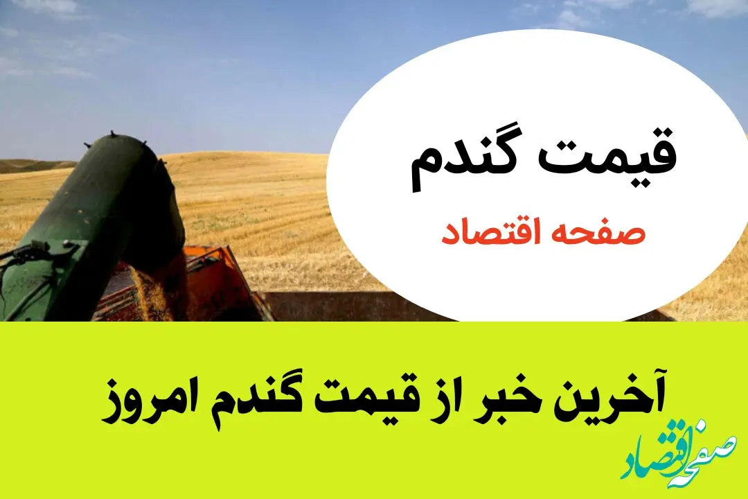 حداقل قیمت خرید تضمینی گندم برای سال زراعی جدید ۳۰ هزارتومان شد؟ 