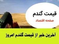 اعلام قیمت جدید گندم و تأخیر در پرداخت مطالبات گندمکاران | قیمت تضمینی و زمان مناسب برداشت گندم | هشدار فوری به گندمکاران