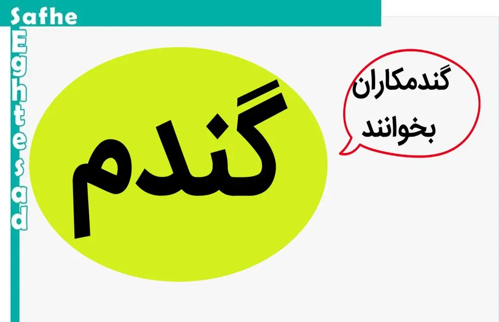 آخرین خبر از خبر قیمت جدید گندم | نرخ بالاتر از ۲۰۵۰۰ تومان پرداخت مطالبات گندمکاران را در سال آینده با مشکل مواجه می کند 