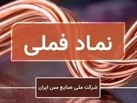 درخشش شرکت ملی مس بر تابلوی بورس ایران/«فملی» تاثیرگذارترین نماد بر شاخص کل شد