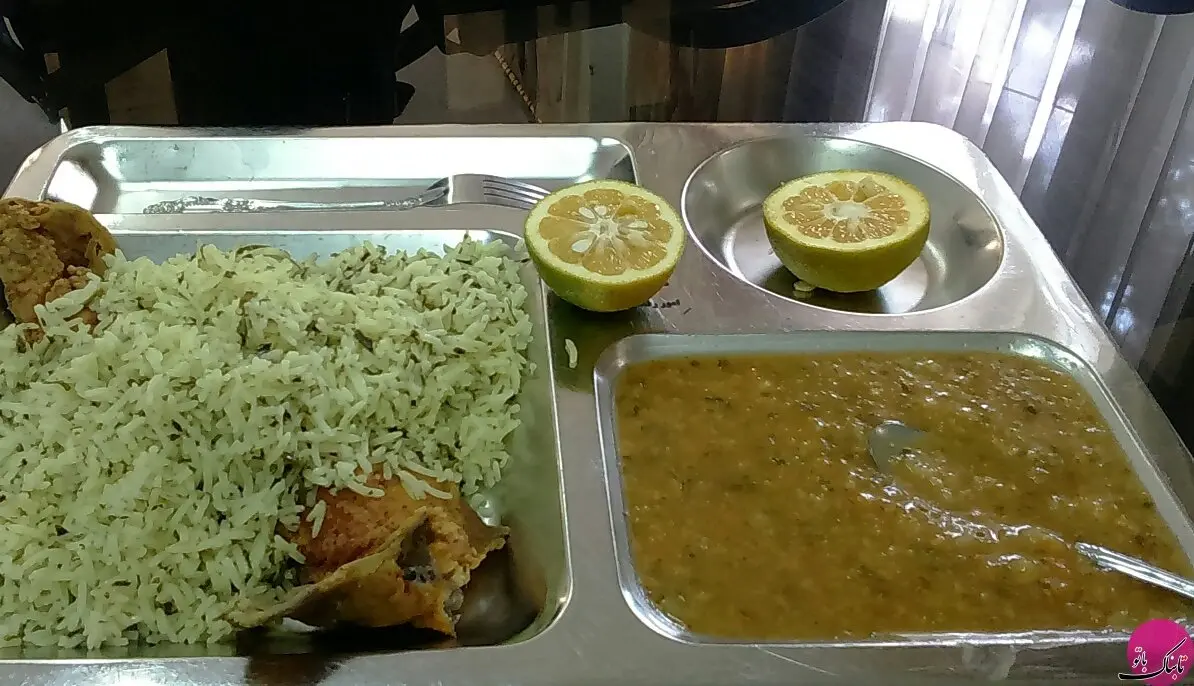 مارمولک در غذای سلف دانشگاه کاشان! | غذای سلف دانشگاه کاشان یا اشتباهی تلخ؟ مارمولک در وعده غذایی دانشجویان!