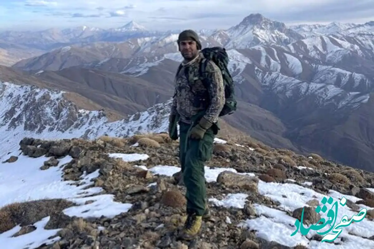 فیلم | محیط‌ بان مازندرانی با خرس قهوه‌ای در ارتفاعات چالوس اینگونه جذاب حرف زد