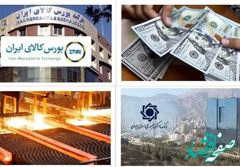 علت اینکه مواد اولیه عرضه‌شده در بورس کالا از فروشگاه‌های اینترنتی سر درآورد، چیست؟