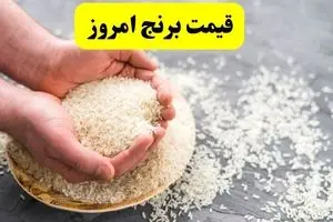 اعلام قیمت انواع برنج ایرانی و هندی امروز یکشنبه ۲۸ اردیبهشت ۱۴۰۴ |  ارزان‌ترین برنج ایرانی چند؟