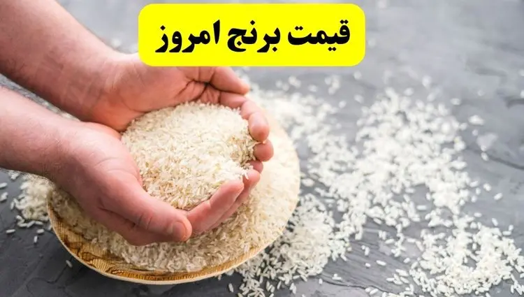 اعلام قیمت انواع برنج ایرانی و هندی امروز یکشنبه ۲۸ اردیبهشت ۱۴۰۴ |  ارزان‌ترین برنج ایرانی چند؟