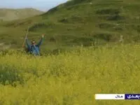 دانلود قسمت دوم سریال ذهن زیبا از شبکه یک + لینک تلوبیون سریال ذهن زیبا