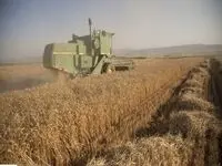 یک خبر خوش برای کشاورزان تا پایان امسال