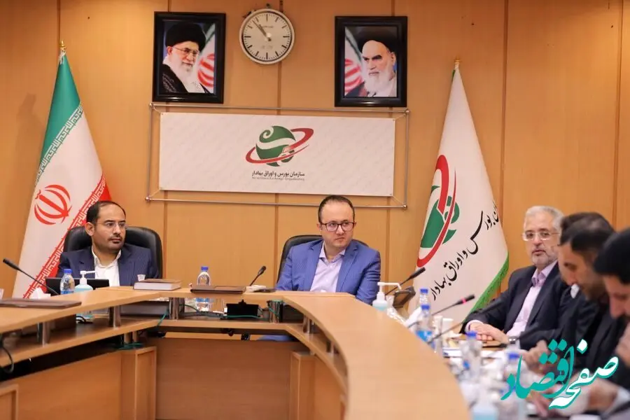 اصلاح دستورالعمل ثبت و شناسایی هلدینگ‌ها