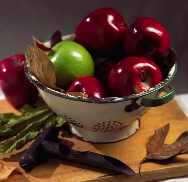 نرخنامه آنلاین میوه و تره بار بازار تهران امروز سه شنبه ۲۷ آذر ۱۴۰۳