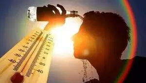 آمار تکان دهنده مرگ و میر از  گرمای بی‌سابقه در اروپا 