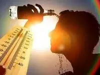 آمار تکان دهنده مرگ و میر از  گرمای بی‌سابقه در اروپا 