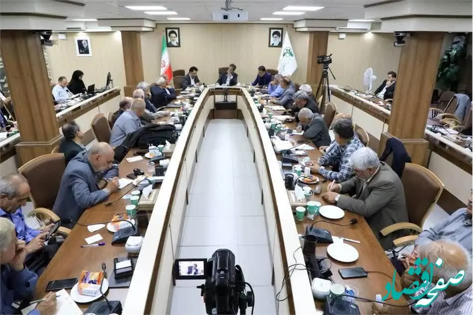 تشکیل کمیته سه‌جانبه نظارت بر بیمه دانا در استان‌ها / منبع تامین اعتبار بیمه تکمیلی درمان از محل سودآوری شرکت‌های صندوق است