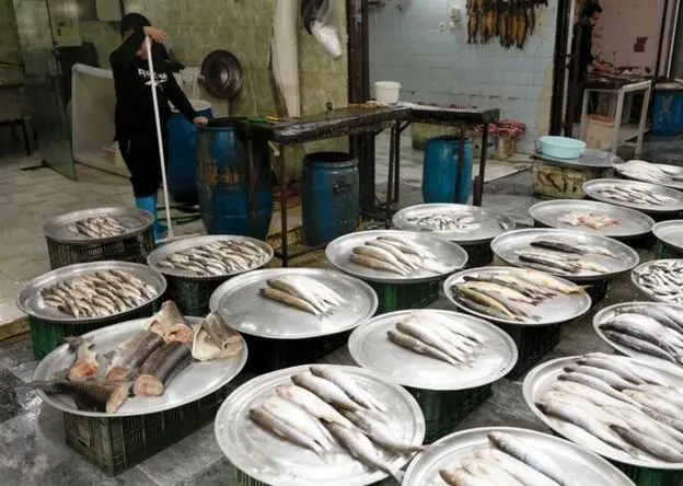 قیمت ماهی قزل آلا | قیمت فیله ماهی | قیمت ماهی سفید | قیمت ماهی امروز پنجشنبه ۷ اسفند ۱۴۰۴