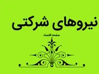 آخرین خبر از ساماندهی استخدام نیروهای شرکتی امروز ۳ بهمن ۱۴۰۳ | ساماندهی کارکنان دولت به کجا رسید؟ 