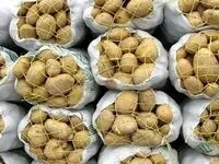 بازار سیب‌زمینی هفته آینده متعادل می‌شود؟
