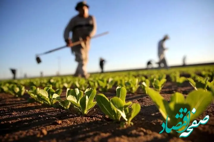 اولین طرح رسمی استفاده از هوش مصنوعی در کشاورزی + جزئیات