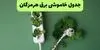 برنامه قطعی برق هرمزگان فردا سه شنبه ۱۰ شهریور اعلام شد + لینک