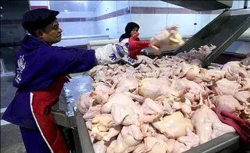 قیمت بال مرغ در بازار امروز ۱۸ شهریور چقدر شد؟