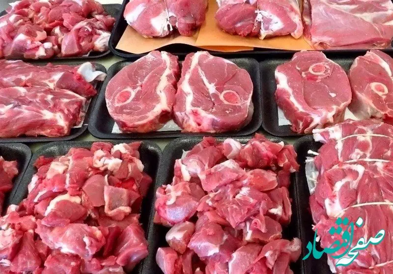 آخرین خبر از خرید حمایتی گوشت گوساله | گوشت گوساله از هفته آینده کیلویی ۴۶۰ هزار تومان