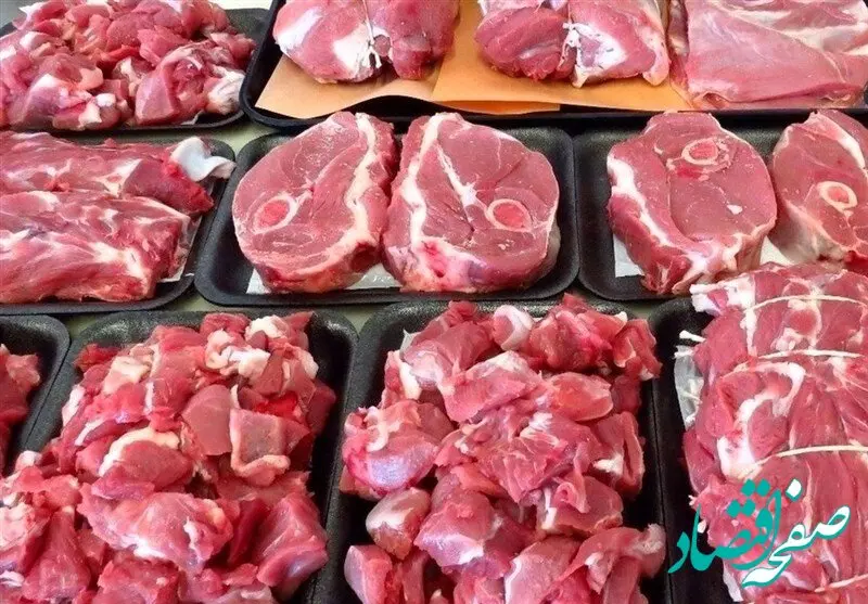 آخرین خبر از خرید حمایتی گوشت گوساله | گوشت گوساله از هفته آینده کیلویی ۴۶۰ هزار تومان