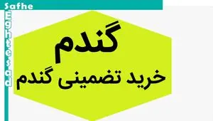 افزایش ۱۰ درصدی قیمت خرید تضمینی گندم منطقی نیست