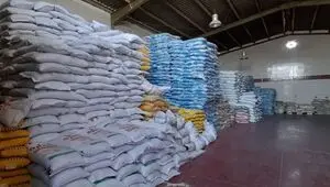 لغو ممنوعیت واردات برنج در فصل برداشت / ترخیص از مرداد آزاد شد