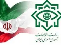وزارت اطلاعات:  ۳۰ مزدور رژیم صهیونی بازداشت شدند