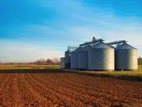 آخرین خبر از خرید تضمینی گندم در ایلام؛ ۱۷ سیلو آماده خرید گندم در ایلام