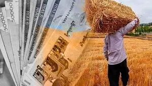 پول گندم کجاست؟ کشاورزان در آستانه کشت جدید گرفتار کمبود نقدینگی
