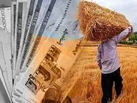 پول گندم کجاست؟ کشاورزان در آستانه کشت جدید گرفتار کمبود نقدینگی