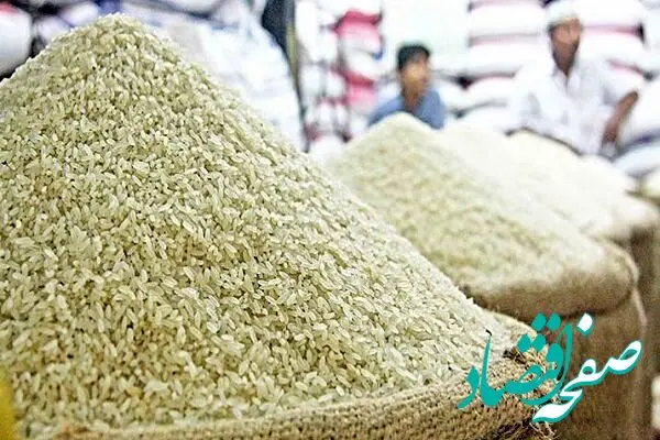 برنج هم گران شد؛  بروز بحران در بازار برنج