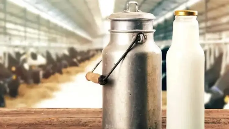 حذف ارز ترجیحی پشت پرده گرانی شیر خام