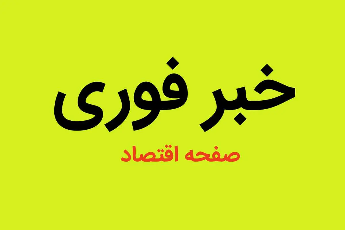 فیلم | وقتی یک نفر در صحن شورای شهر گرگان لخت شد! 