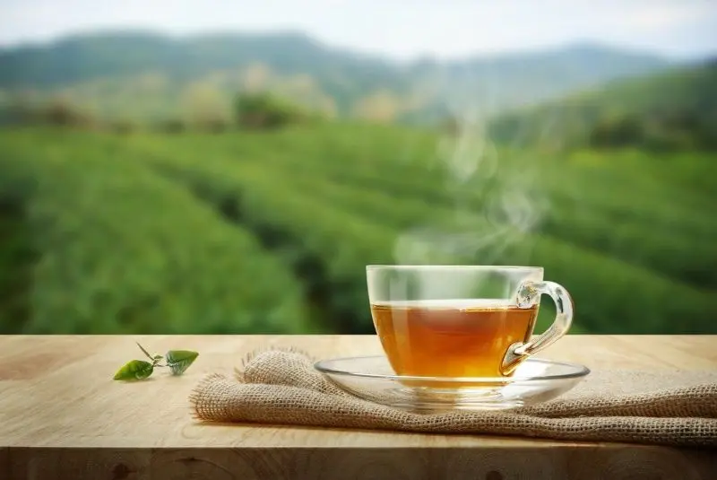 جزئیاتی جدید و وحشتناک از فساد چای دبش + فیلم