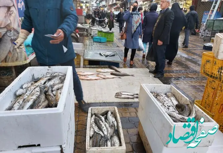 جدول قیمت انواع ماهی امروز پنجشنبه ۲۹ آذر ۱۴۰۳َ