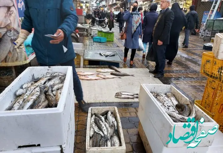جدول قیمت انواع ماهی امروز پنجشنبه ۲۹ آذر ۱۴۰۳َ