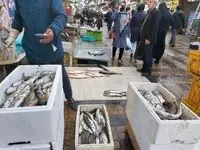 جدول قیمت انواع ماهی امروز پنجشنبه ۲۹ آذر ۱۴۰۳َ